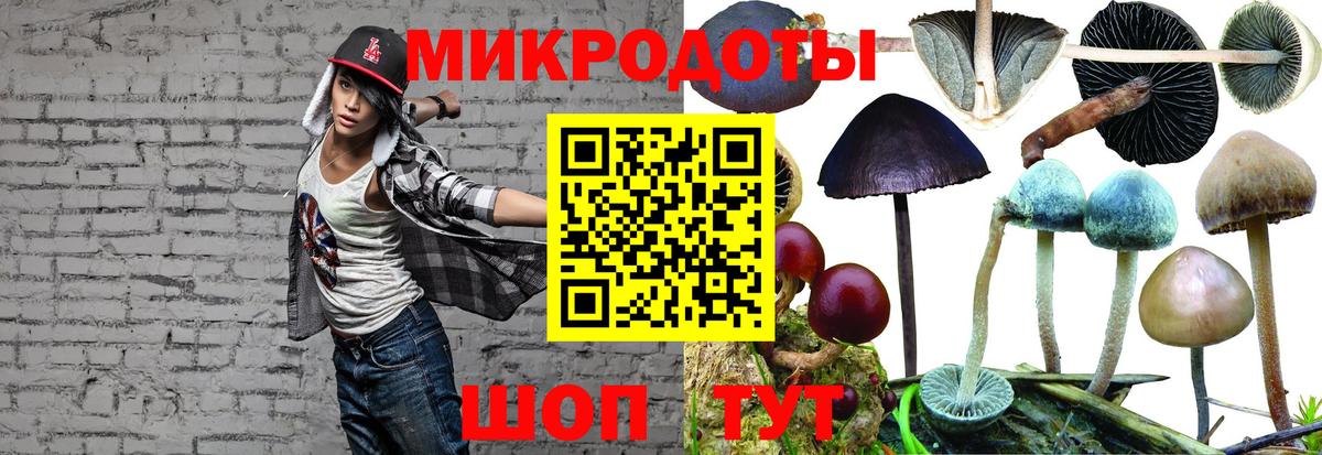 Всеволожск  Псилоцибиновые грибы Psilocybine cubensis  Галлюциногенные грибы мицелий  Вход с VPN 