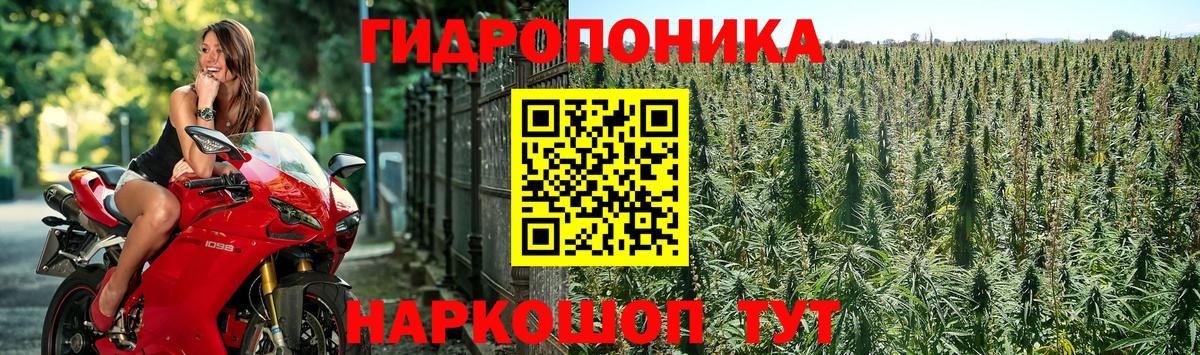 Бошки марихуана сатива  Бошки Шишки OG Kush  Вход с VPN  Всеволожск 